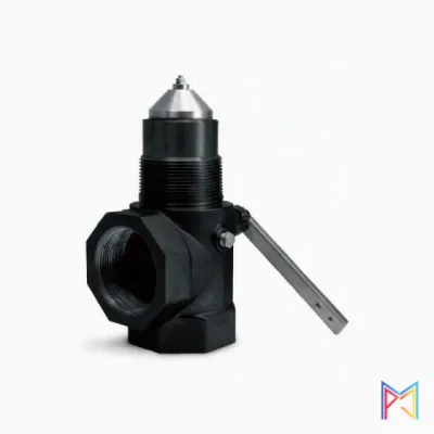 Cavagna Internal Valves Threaded 2 Inch One Way 6902900106
